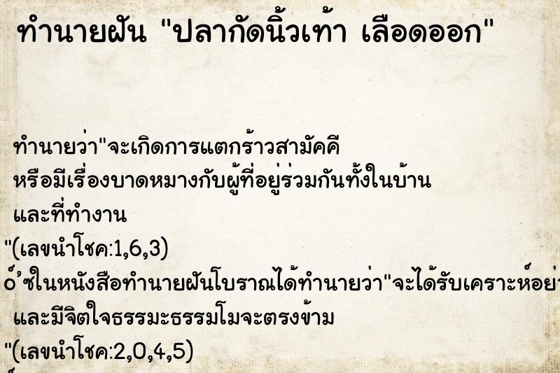 ทำนายฝันปลากัดนิ้วเท้าเลือดออก ทำนายฝันทำนายฝันปลากัดนิ้วเท้าเลือดออก